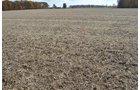 Property photo 6 - 75.3 Acres Offered in 2 Tracts